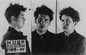 Повстанець Петро Дмитришин